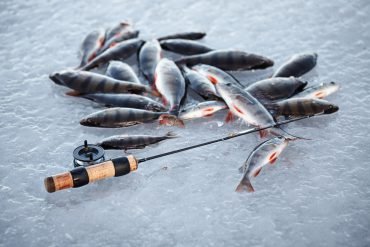 Get Hooked on the Thrilling World of Online Ice Fishing Games UK